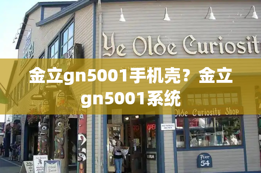金立gn5001手机壳？金立gn5001系统-第1张图片-星选测评