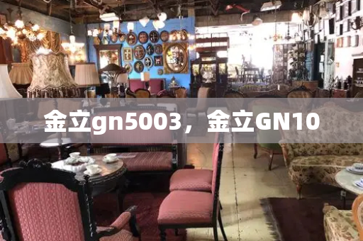 金立gn5003，金立GN100