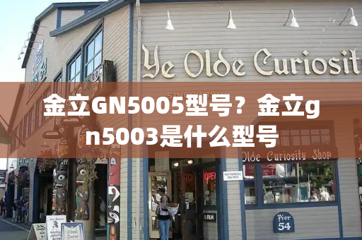 金立GN5005型号？金立gn5003是什么型号-第1张图片-星选测评