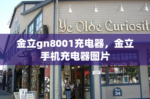 金立gn8001充电器，金立手机充电器图片