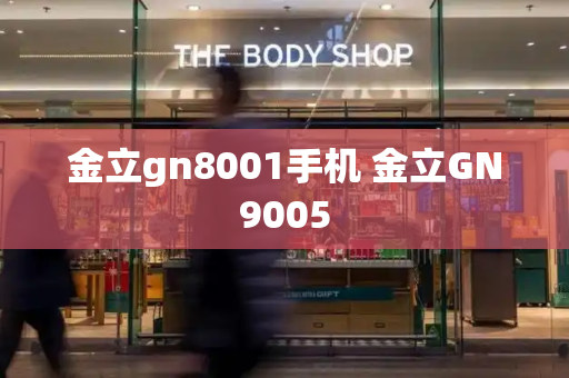 金立gn8001手机 金立GN9005