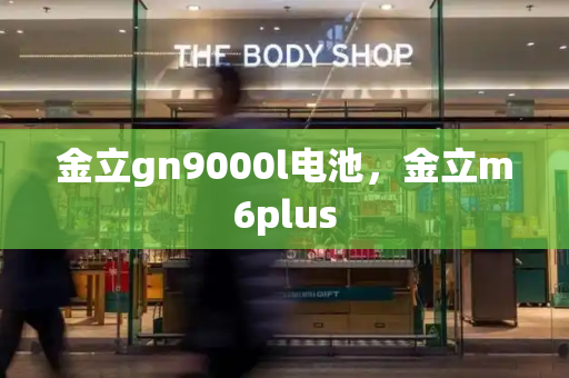 金立gn9000l电池，金立m6plus-第1张图片-星选测评