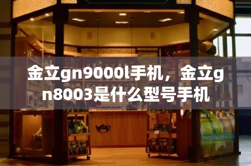 金立gn9000l手机，金立gn8003是什么型号手机-第1张图片-星选测评
