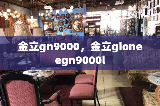 金立gn9000，金立gioneegn9000l