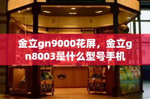 金立gn9000花屏，金立gn8003是什么型号手机-第1张图片-星选测评