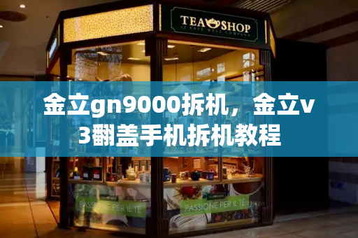 金立gn9000拆机，金立v3翻盖手机拆机教程