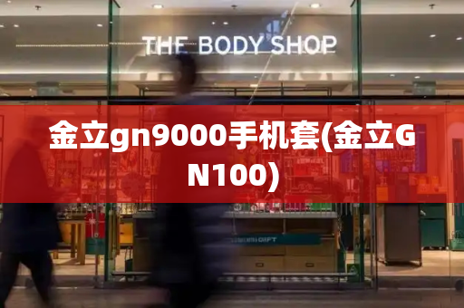 金立gn9000手机套(金立GN100)-第1张图片-星选测评