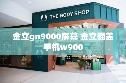 金立gn9000屏幕 金立翻盖手机w900