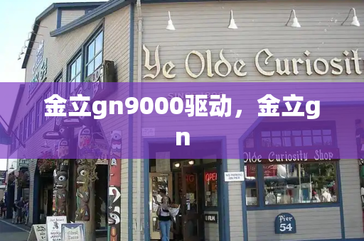 金立gn9000驱动，金立gn-第1张图片-星选测评