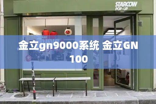 金立gn9000系统 金立GN100