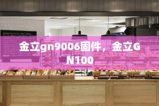 金立gn9006固件，金立GN100
