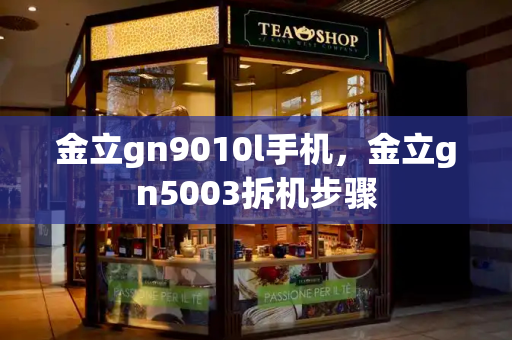 金立gn9010l手机，金立gn5003拆机步骤-第1张图片-星选测评