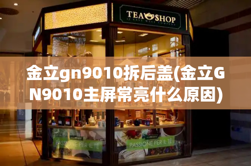 金立gn9010拆后盖(金立GN9010主屏常亮什么原因)
