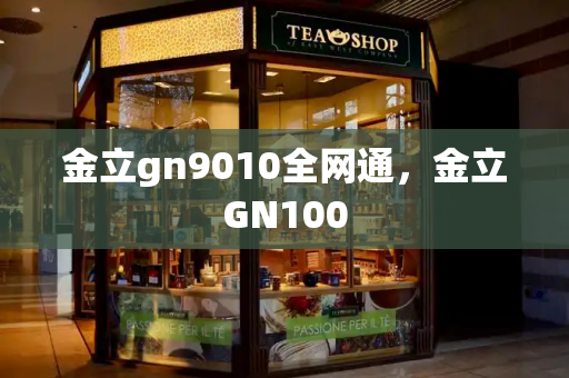 金立gn9010全网通，金立GN100-第1张图片-星选测评