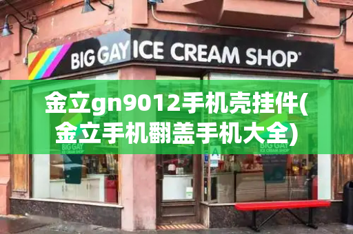 金立gn9012手机壳挂件(金立手机翻盖手机大全)