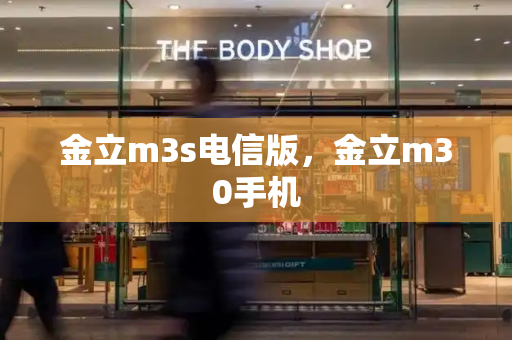 金立m3s电信版，金立m30手机