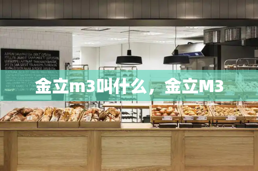 金立m3叫什么，金立M3-第1张图片-星选测评