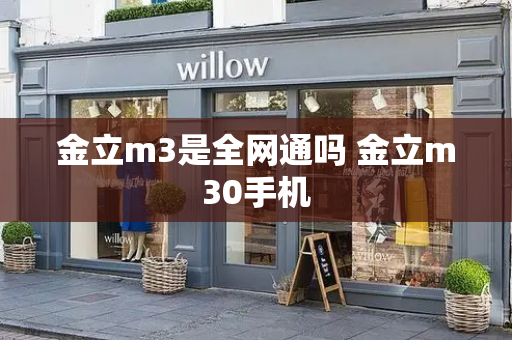 金立m3是全网通吗 金立m30手机-第1张图片-星选测评