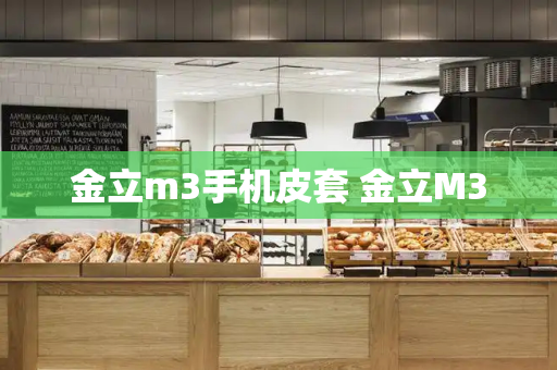 金立m3手机皮套 金立M3