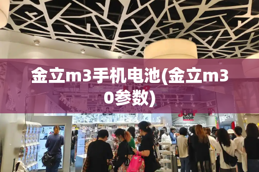 金立m3手机电池(金立m30参数)