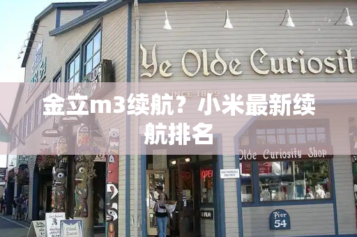 金立m3续航？小米最新续航排名-第1张图片-星选测评