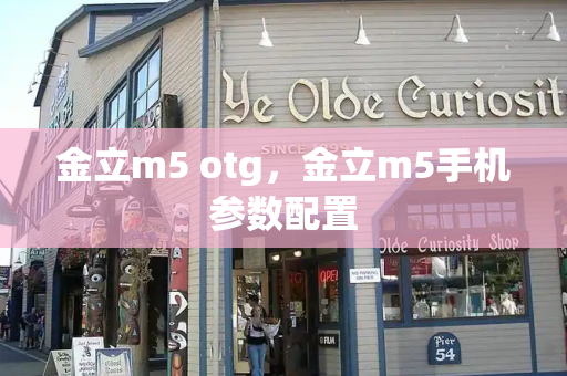 金立m5 otg，金立m5手机参数配置-第1张图片-星选测评
