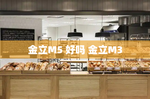 金立M5 好吗 金立M3-第1张图片-星选测评