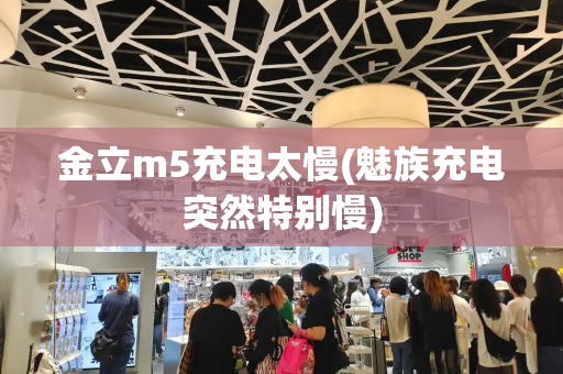金立m5充电太慢(魅族充电突然特别慢)-第1张图片-星选测评