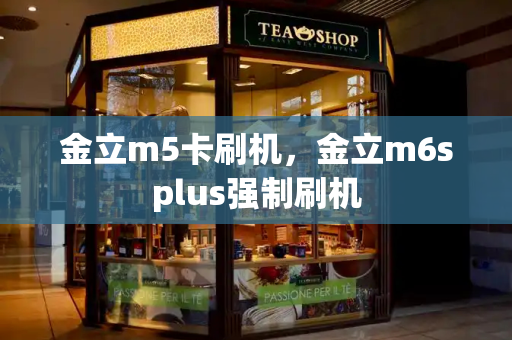 金立m5卡刷机，金立m6splus强制刷机-第1张图片-星选测评