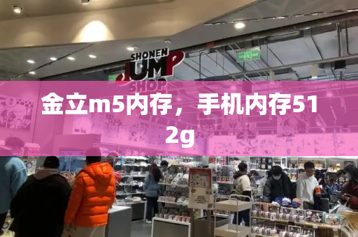 金立m5内存，手机内存512g-第1张图片-星选测评