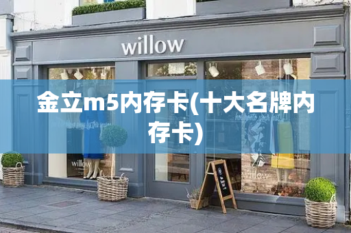 金立m5内存卡(十大名牌内存卡)