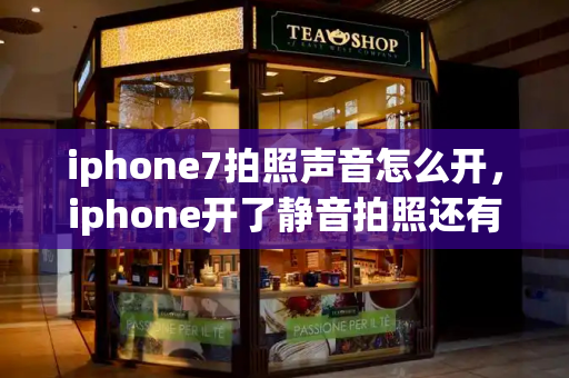 iphone7拍照声音怎么开，iphone开了静音拍照还有声音-第1张图片-星选测评