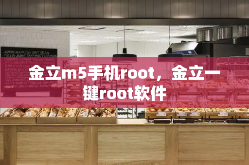 金立m5手机root，金立一键root软件-第1张图片-星选测评