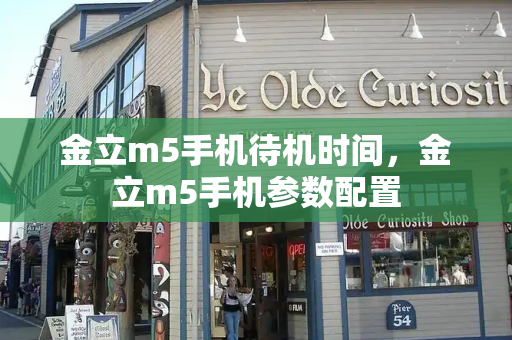 金立m5手机待机时间，金立m5手机参数配置-第1张图片-星选测评