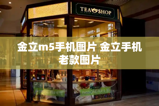 金立m5手机图片 金立手机老款图片