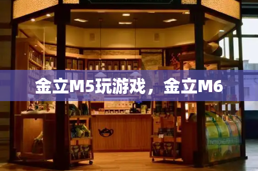 金立M5玩游戏，金立M6-第1张图片-星选测评
