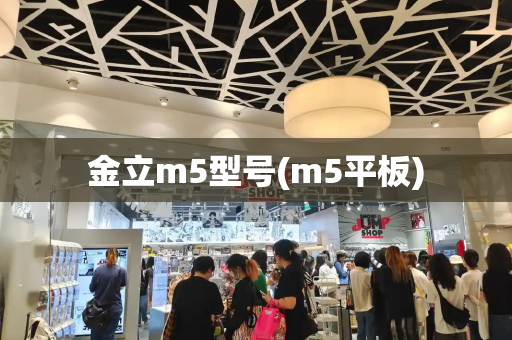 金立m5型号(m5平板)-第1张图片-星选测评