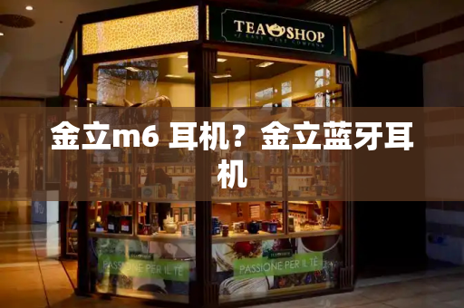 金立m6 耳机？金立蓝牙耳机