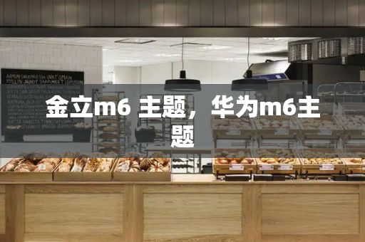 金立m6 主题，华为m6主题