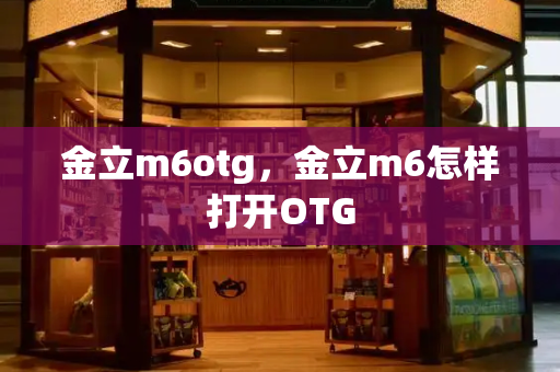 金立m6otg，金立m6怎样打开OTG
