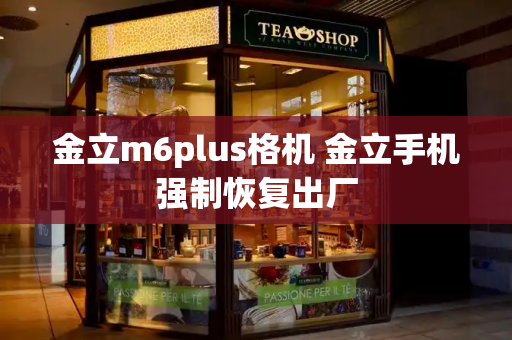 金立m6plus格机 金立手机强制恢复出厂-第1张图片-星选测评