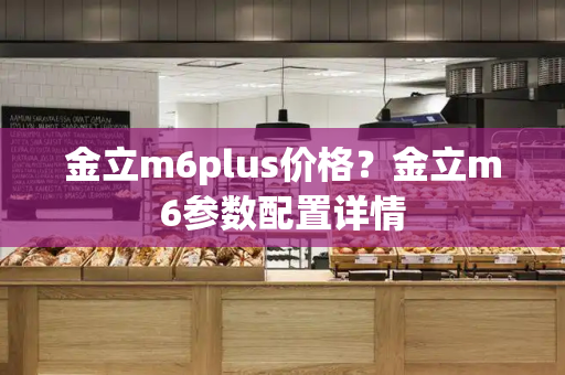金立m6plus价格？金立m6参数配置详情