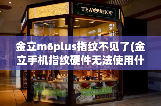 金立m6plus指纹不见了(金立手机指纹硬件无法使用什么原因)-第1张图片-星选测评