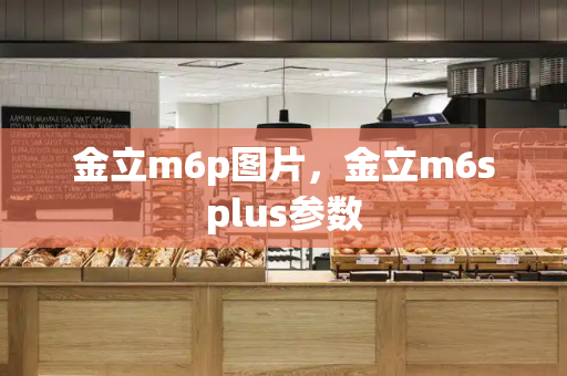金立m6p图片，金立m6splus参数