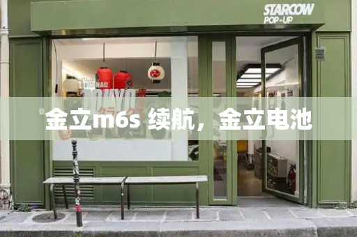 金立m6s 续航，金立电池