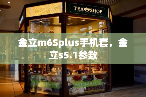 金立m6Splus手机套，金立s5.1参数