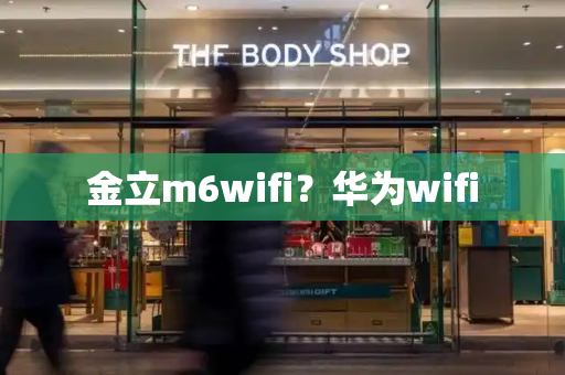 金立m6wifi？华为wifi-第1张图片-星选测评