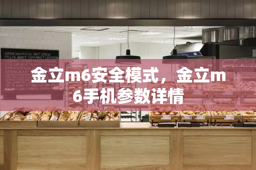 金立m6安全模式，金立m6手机参数详情
