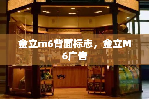 金立m6背面标志，金立M6广告-第1张图片-星选测评