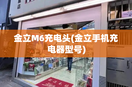 金立M6充电头(金立手机充电器型号)-第1张图片-星选测评